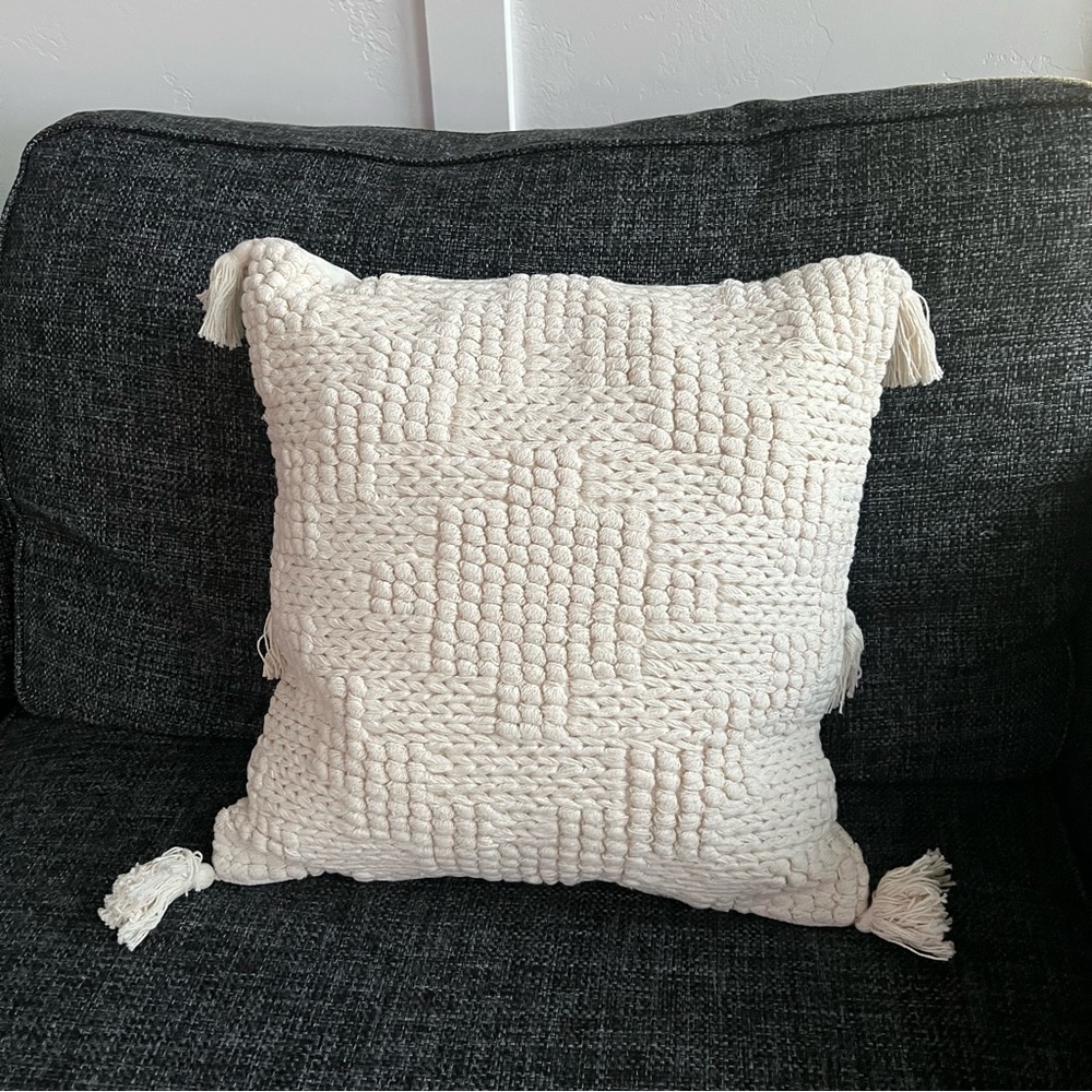 NWOT Memeber’s Mark Outdoor Throw Pillow